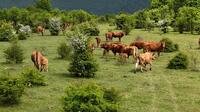 Farm Image